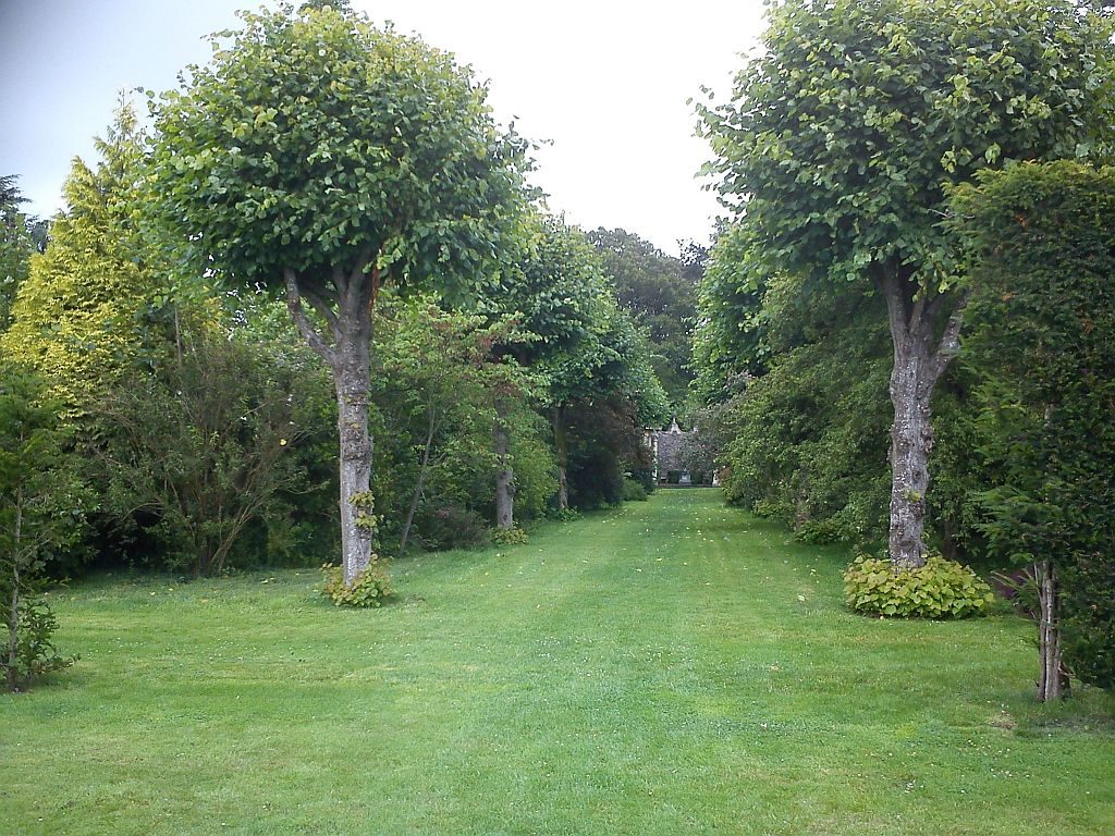 Restoring A Victorian Shrubbery Edwards Garden Services